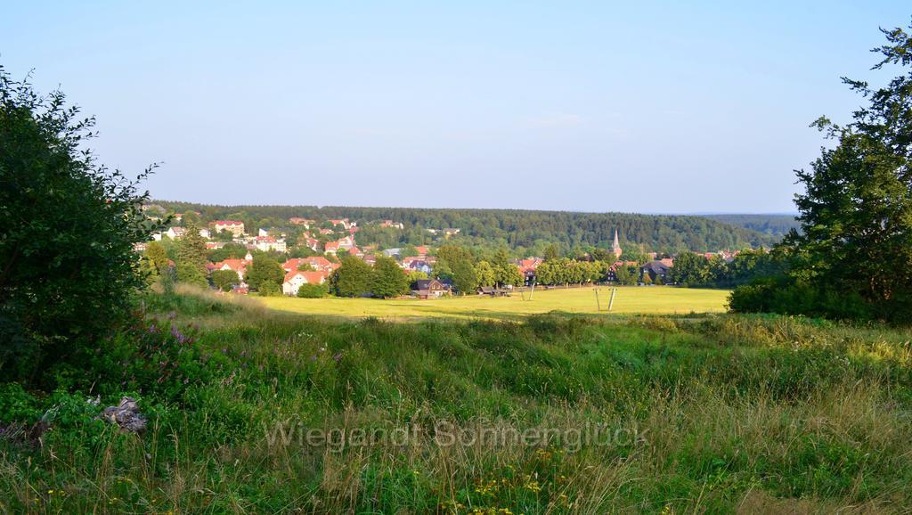Sonnenglueck Mit Schwimmbad Apartment Braunlage Room photo