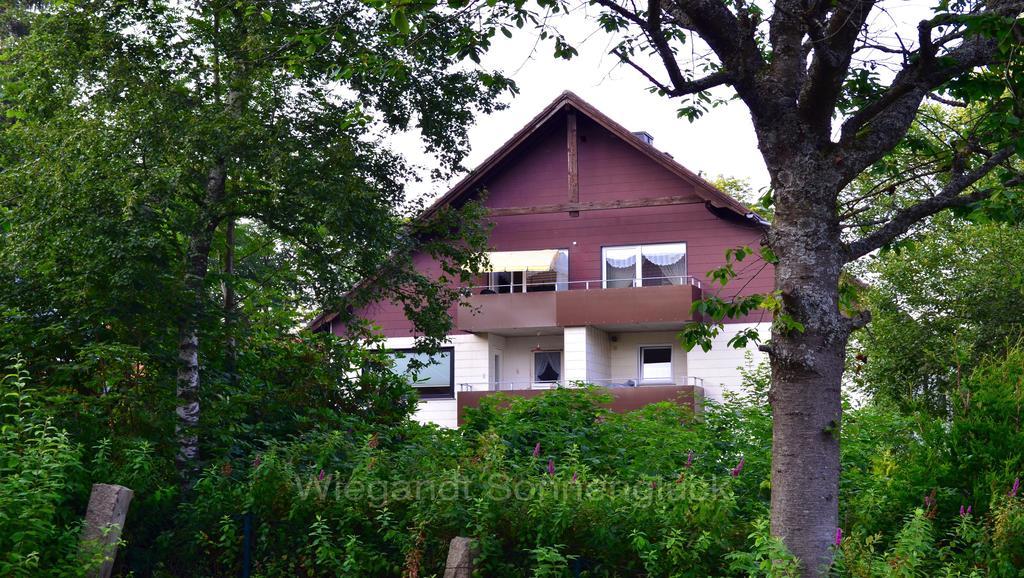 Sonnenglueck Mit Schwimmbad Apartment Braunlage Room photo